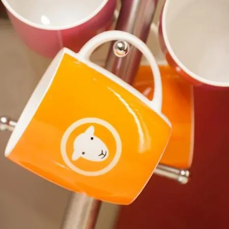 The Curious Orange 公寓 特劳特贝克